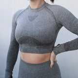 Seamless Long Sleeve Top - reign-aesthetics