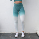 Woman Sport seamless Leggings - reign-aesthetics